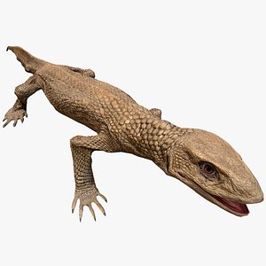 Varan Lizard Reptile Monster 3D