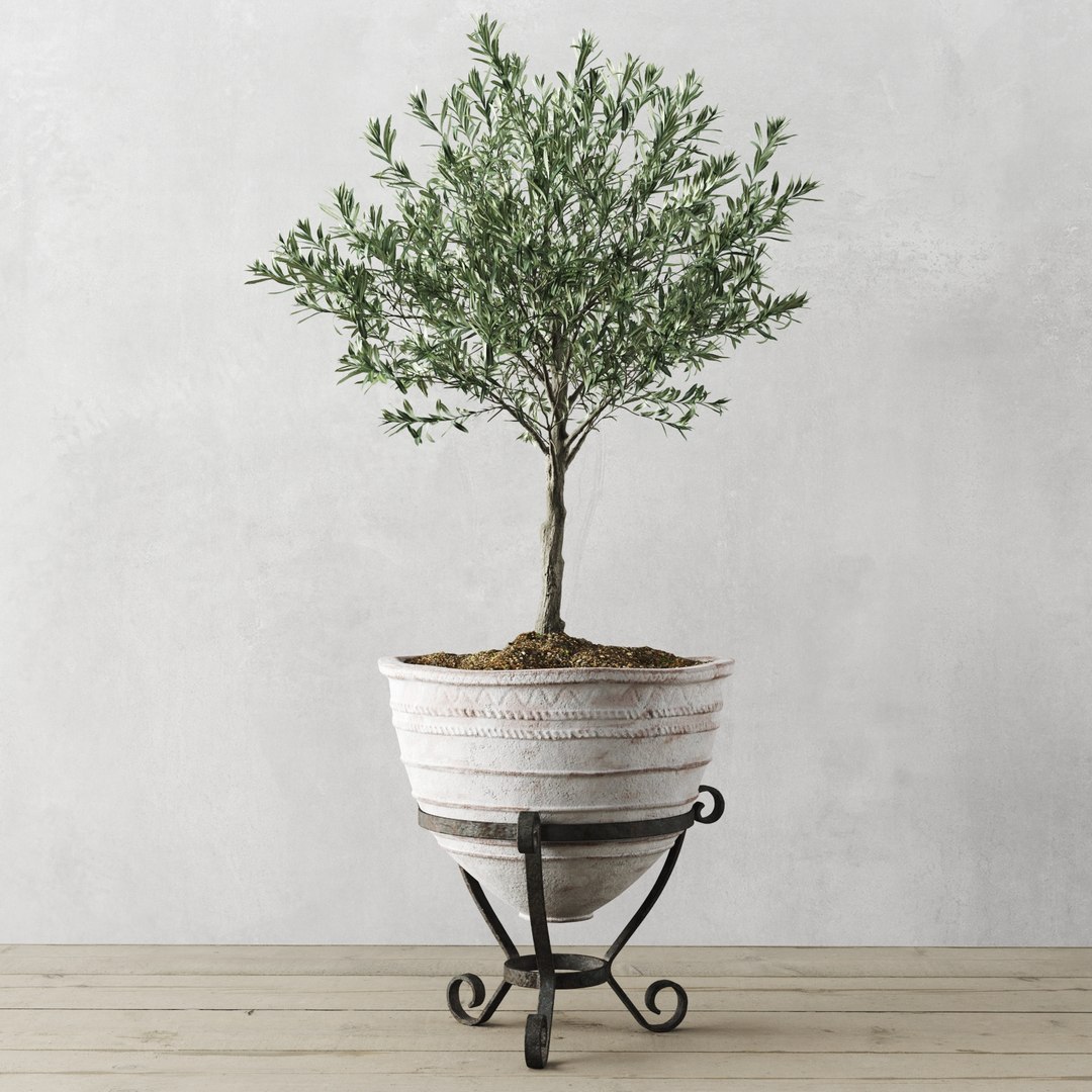 european antique vessels 3D model https://p.turbosquid.com/ts-thumb/Se/y4l8h6/7EF4T6p1/preview_4/jpg/1597498277/1920x1080/fit_q87/2f2ce1e6cfd811ed5c74c70471ba4a7f400ac453/preview_4.jpg