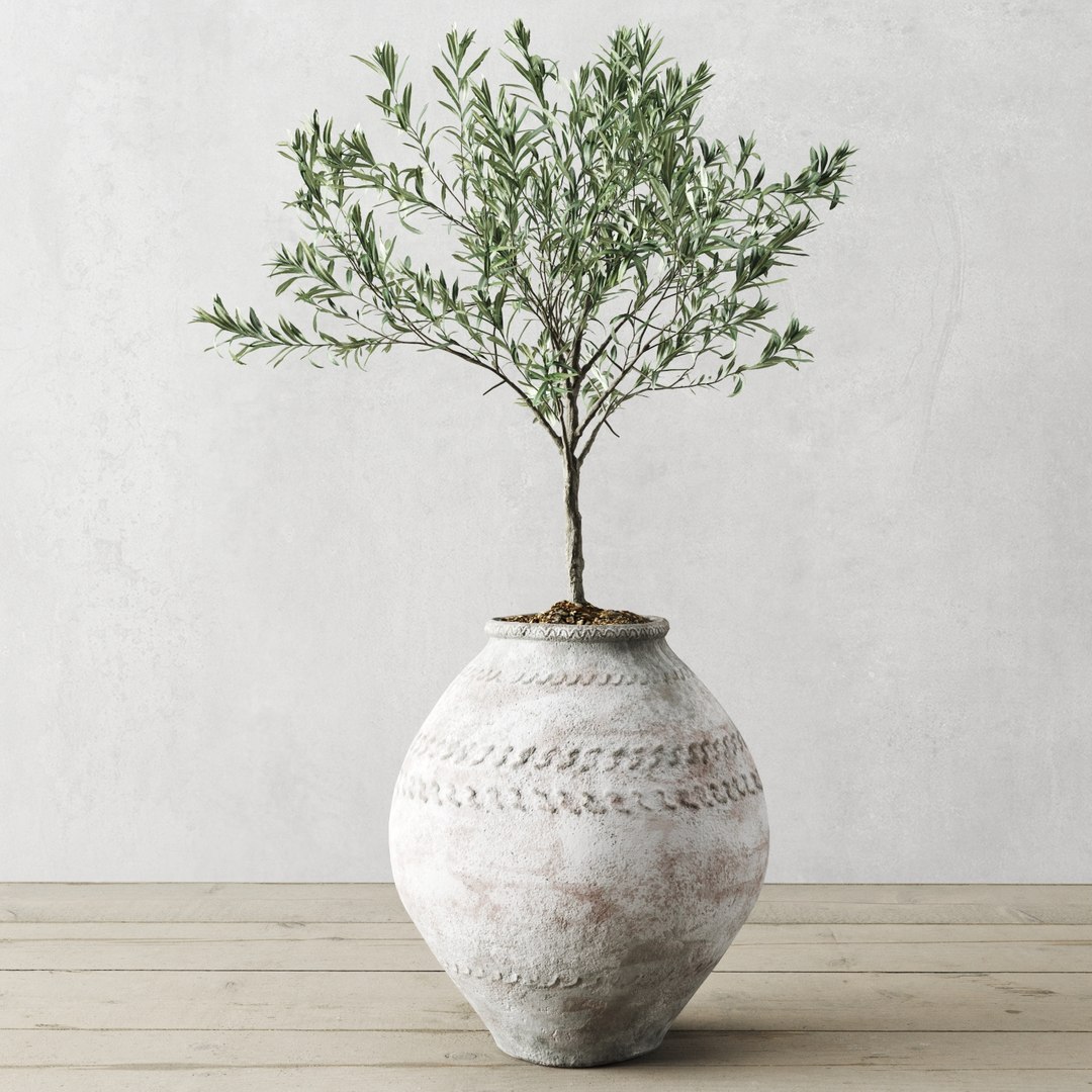 european antique vessels 3D model https://p.turbosquid.com/ts-thumb/Se/y4l8h6/Zh8lxDCz/preview_3/jpg/1597498277/1920x1080/fit_q87/eade621693dfbbbfe3dd41650090e3153549e4df/preview_3.jpg