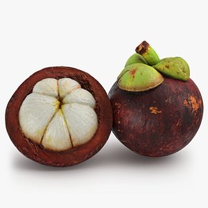3D model Fresh Mangosteen