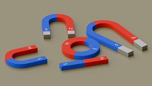 Educational Low-Poly Magnet Collection