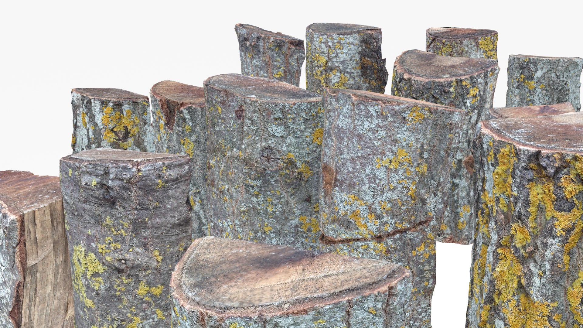 Half Wood Scan Pack 3D https://p.turbosquid.com/ts-thumb/Sf/7XrORH/fa/12/png/1694611303/1920x1080/fit_q87/efda76952d81c50d60bd8c8b5daac2653fe7ab83/12.jpg