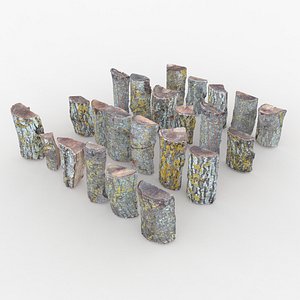 Half Wood Scan Pack 3D