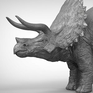 triceratops ztl zbrush 3D model