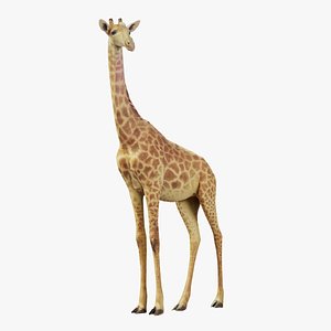 Giraffe Remastered