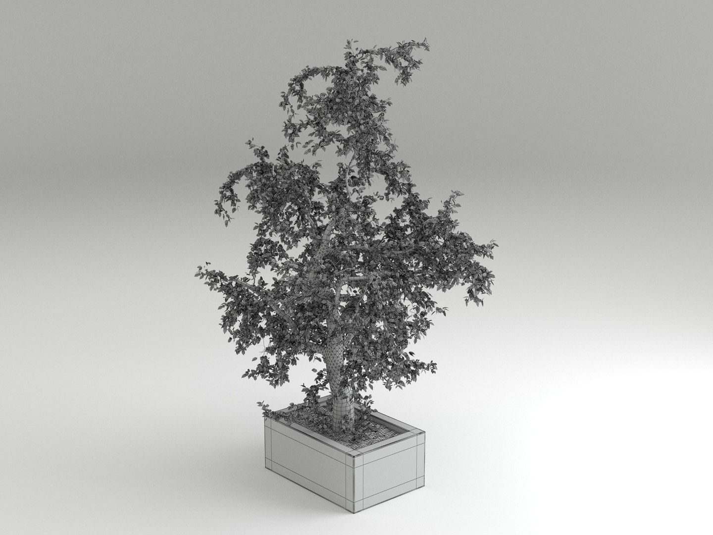 3D tree nature https://p.turbosquid.com/ts-thumb/Sf/GRlQGD/NfdpEW7c/tree_01_wireframe_02/jpg/1588347052/1920x1080/fit_q87/e0ae19769af33741a8a6141a1fbc5cd35515d4ce/tree_01_wireframe_02.jpg