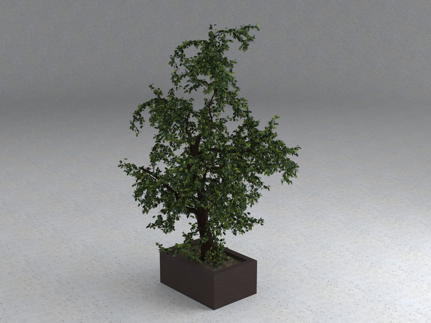 3D tree nature https://p.turbosquid.com/ts-thumb/Sf/GRlQGD/TQ9PwZv6/tree_01_rend_02/jpg/1588348020/1920x1080/fit_q87/15c0c364ce1ea7a0d7fb2479f12149b7dfb0c299/tree_01_rend_02.jpg