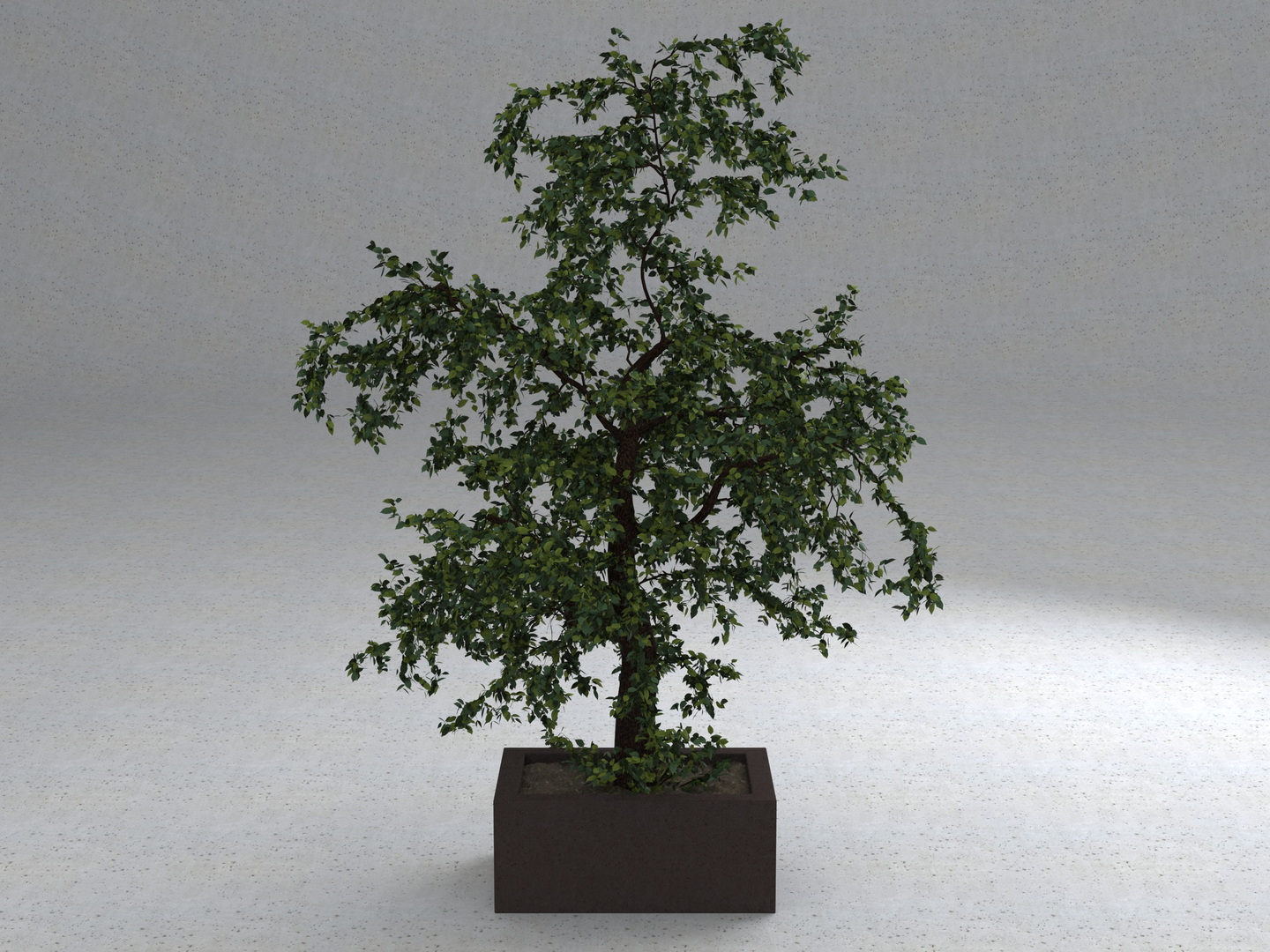 3D tree nature https://p.turbosquid.com/ts-thumb/Sf/GRlQGD/YOjFtG59/tree_01_turn/jpg/1588347562/1920x1080/turn_fit_q99/ee98942dbe297aa39fbe870c3938b12b8bd4d44a/tree_01_turn-1.jpg