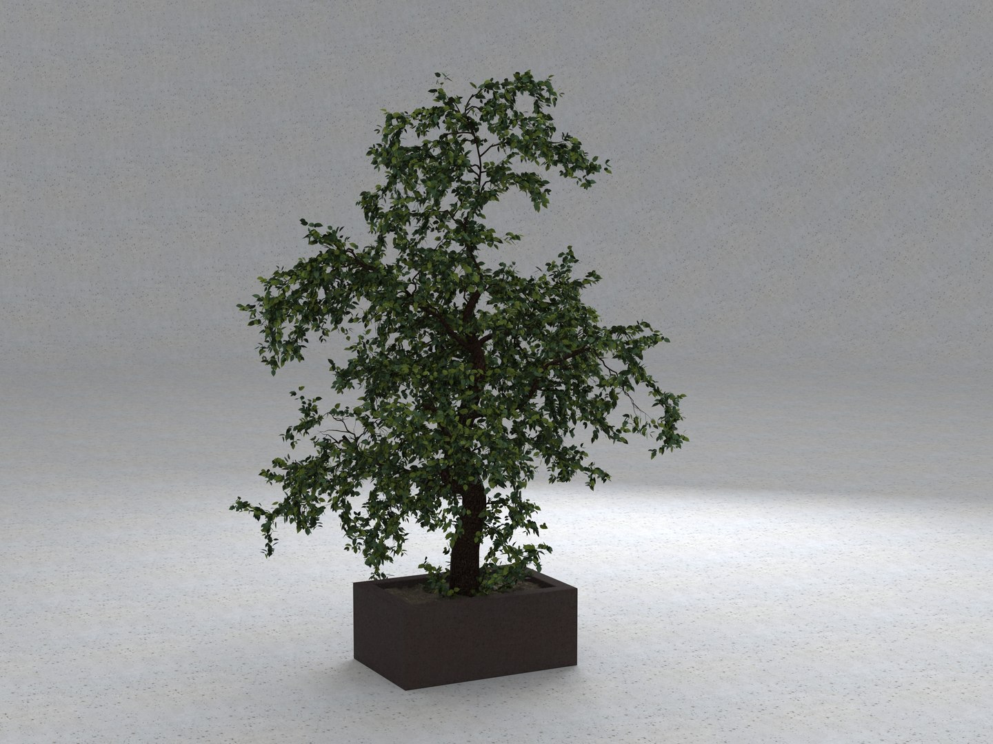 3D tree nature https://p.turbosquid.com/ts-thumb/Sf/GRlQGD/iPPWzg6W/tree_01_rend_01/jpg/1588347045/1920x1080/fit_q87/168b3dc2285537152f6adf95c45c8888e62bdd12/tree_01_rend_01.jpg