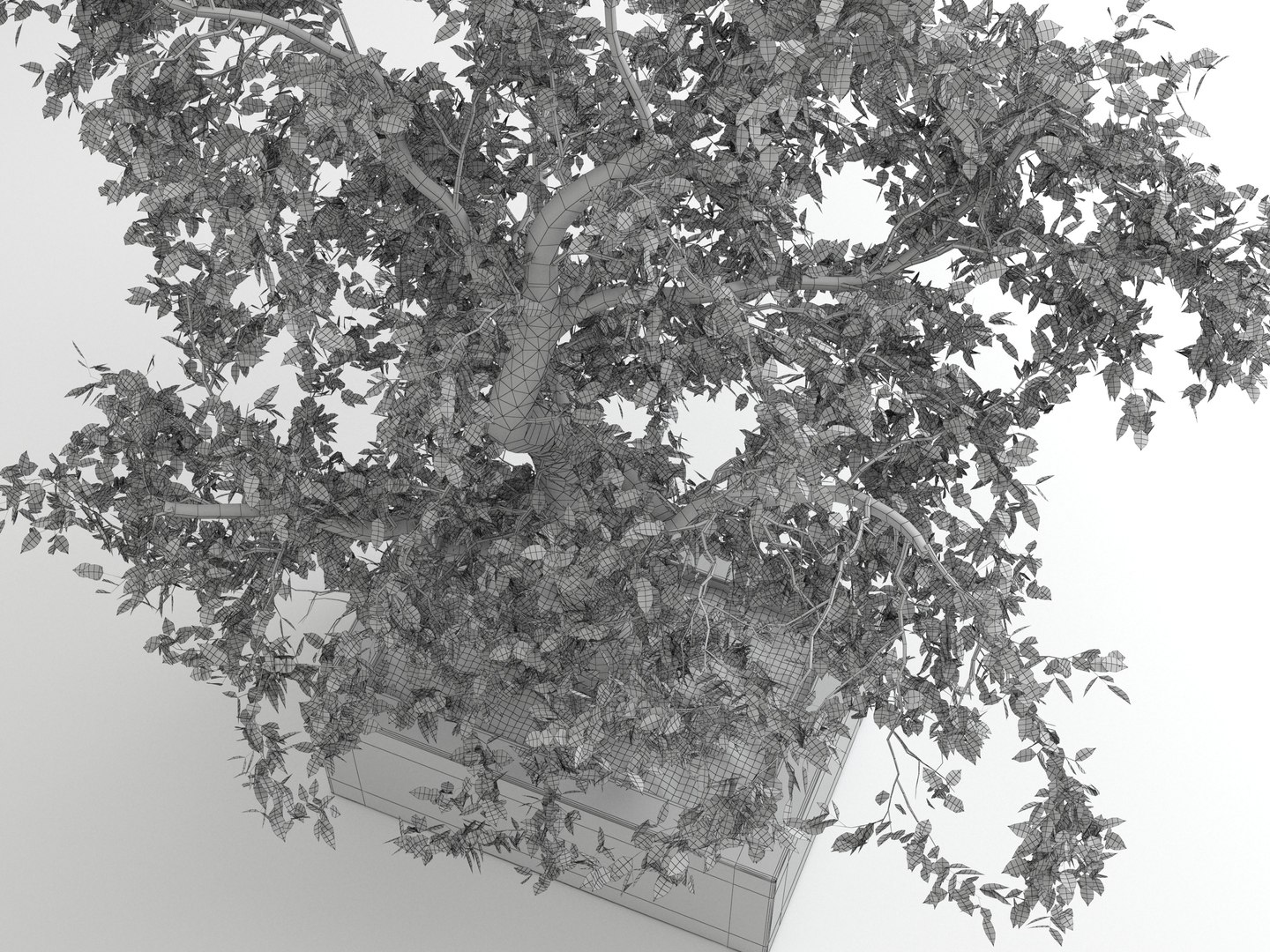 3D tree nature https://p.turbosquid.com/ts-thumb/Sf/GRlQGD/q0v2bJHU/tree_01_wireframe_03/jpg/1588347058/1920x1080/fit_q87/6b653b950cbc6980feff78719b043d84cb225dba/tree_01_wireframe_03.jpg