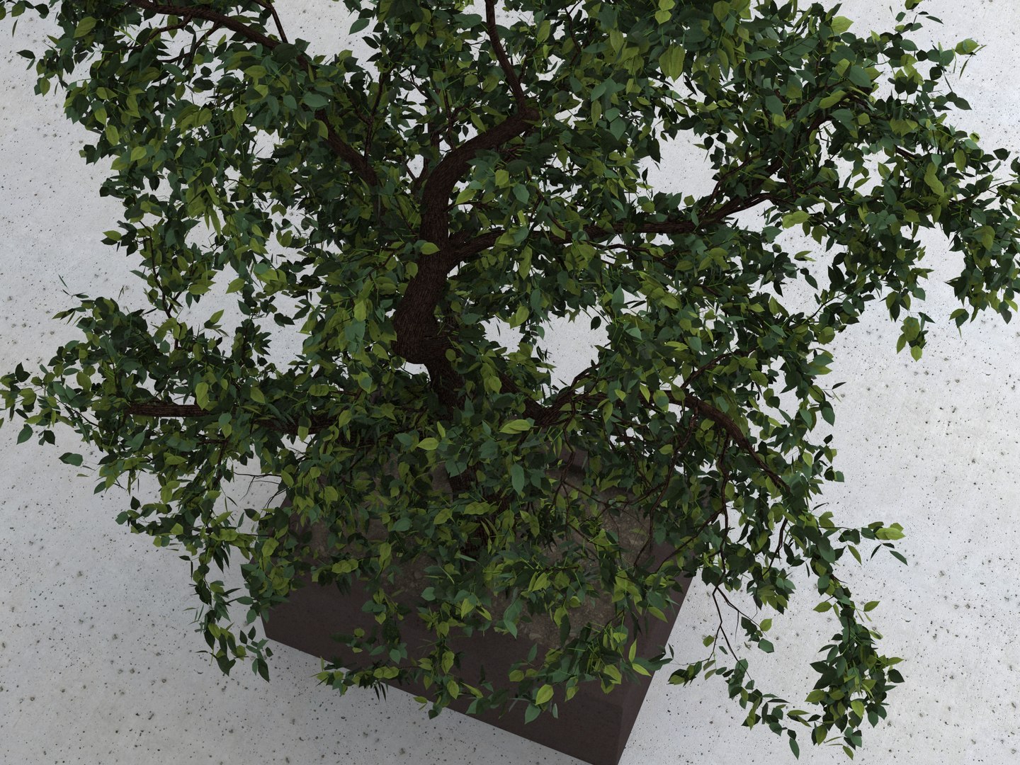 3D tree nature https://p.turbosquid.com/ts-thumb/Sf/GRlQGD/zjy6Ka1V/tree_01_rend_03/jpg/1588347055/1920x1080/fit_q87/8cd40587f84d602a97a3bcceb35642efdf1ad138/tree_01_rend_03.jpg