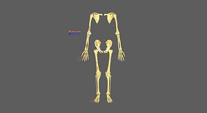 Limbs With Girdle bones name parts text labelled 3D model