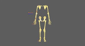 Limbs With Girdle bones name parts text labelled