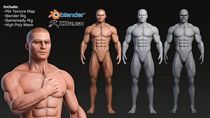 Male Basemesh Rigged Textured