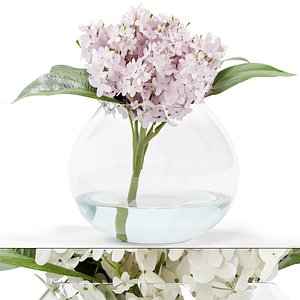 Stacy White Hydrangea Arrangement 3D