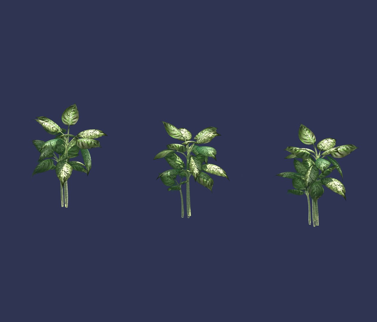 plant - diffenbachia 3D model https://p.turbosquid.com/ts-thumb/Sf/ZWw2ZT/EsJg3PzY/2/jpg/1568860219/1920x1080/fit_q87/ee8512a8c648ce654035783e05e10104dcf630a3/2.jpg