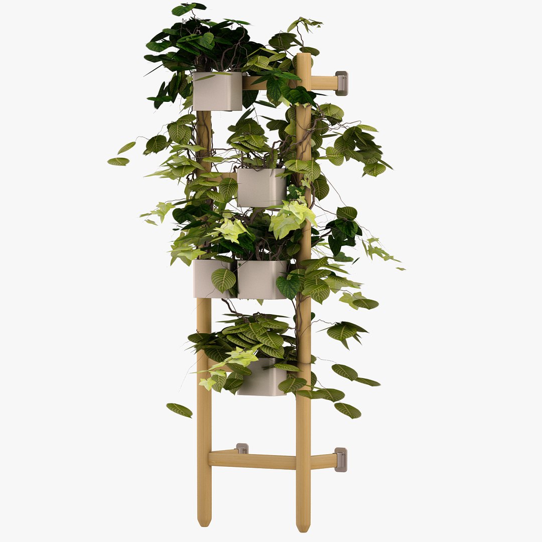 3d Model Satsumas Flower Bed