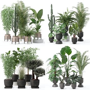 3D 20 Photorealistic Flowers for Interiors - set 137 140 142 143