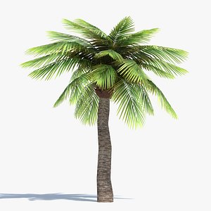 3ds max palm tree