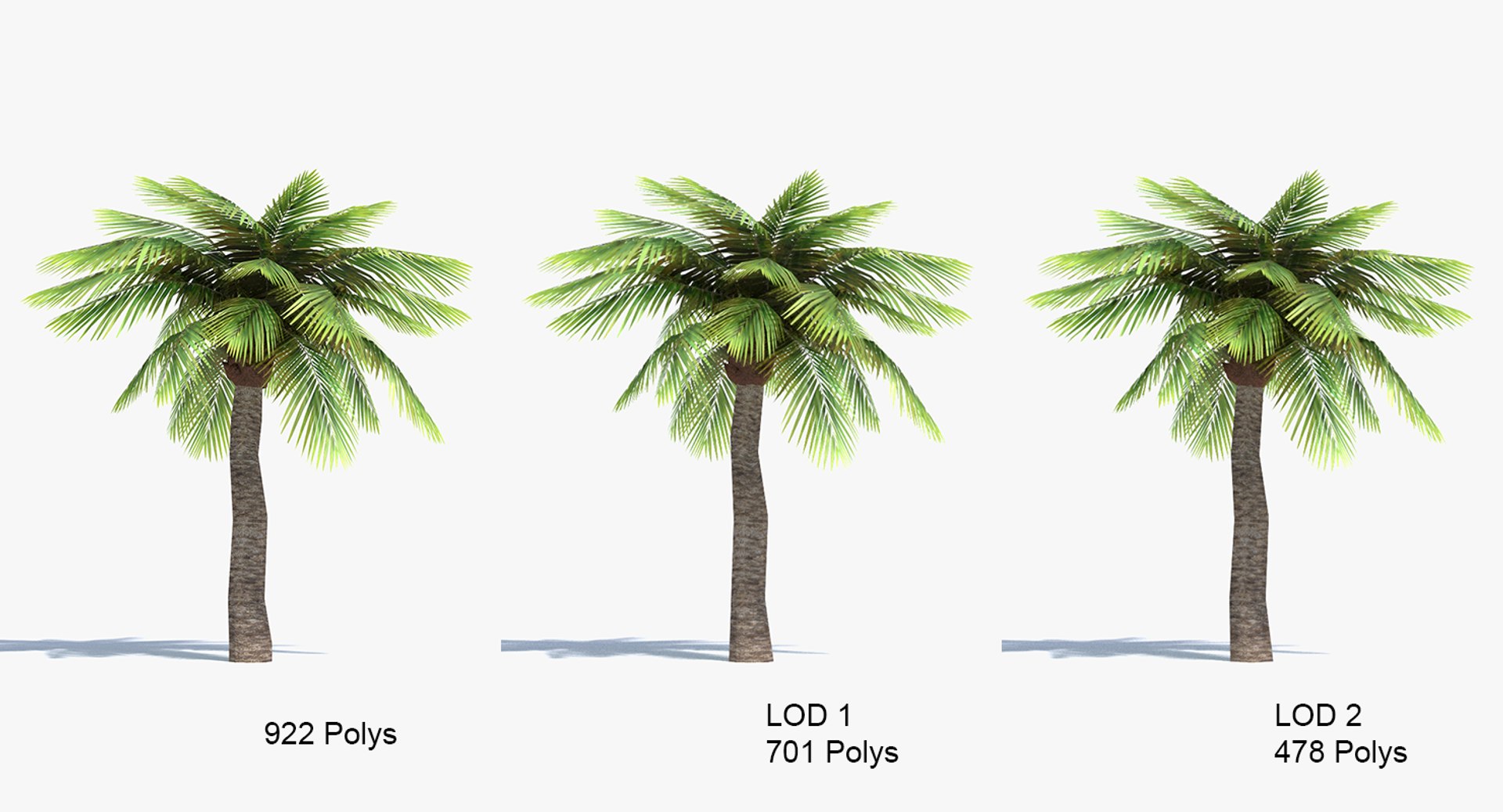 3ds Max Palm Tree