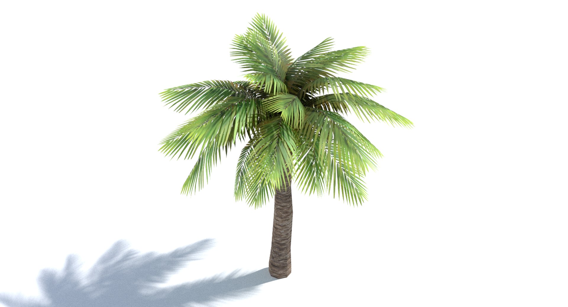 3ds Max Palm Tree