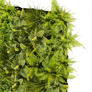 3D Collection plant vol 392 - fitowall - ertical - leaf - palm - grass - blender - 3dmax - cinema 4