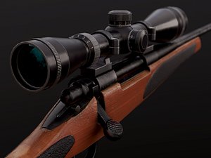 Remington 700 Rifle