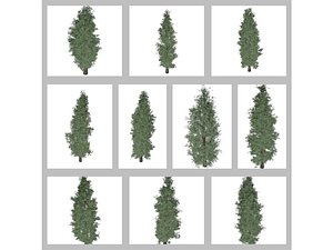 3D model Eastern Red Cedar Tree Collection