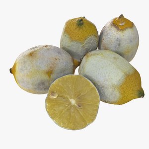 Dry Realistic Peeled Lemon Set