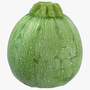 zucchini 03 3D model