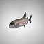 Fish (Lowpoly)