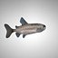 Fish (Lowpoly)