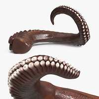 Marine Animal Octopus Tentacle Straight Rigged
