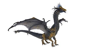 Dragon 3D