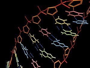 free c4d mode dna helix