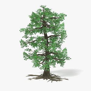 3d model big oak tree