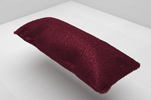 home equipment pillow 2
