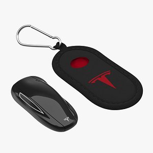 Tesla S Key Fob And Black Cover