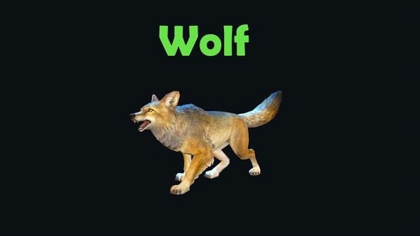 3D Wolf Animation - TurboSquid 2011199