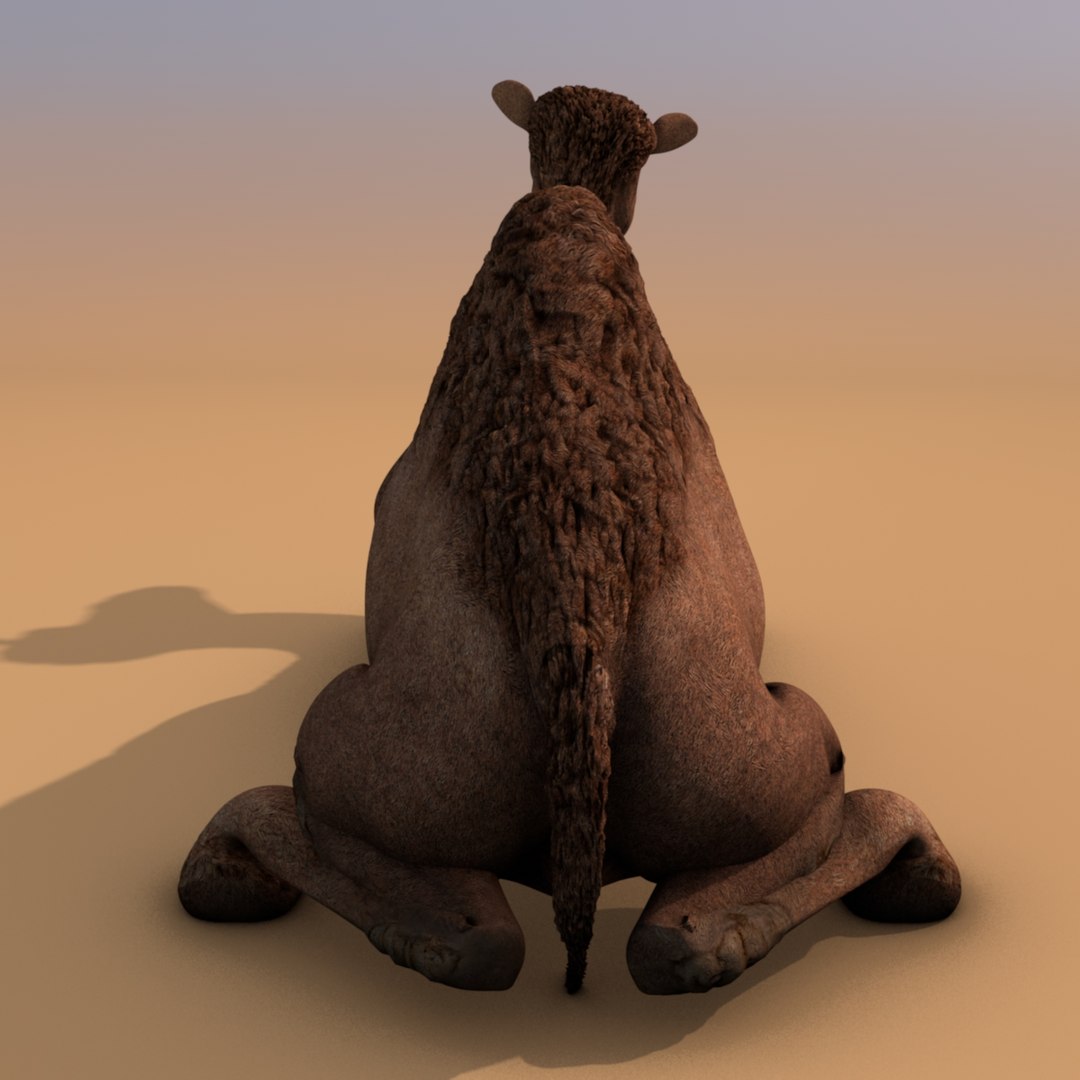 animating camel 3D model https://p.turbosquid.com/ts-thumb/Sg/y7KpxL/9PouMtee/camel0234/jpg/1520291072/1920x1080/fit_q87/1111aa46d3a66d9f5976ab122833ae3f72d27aa9/camel0234.jpg