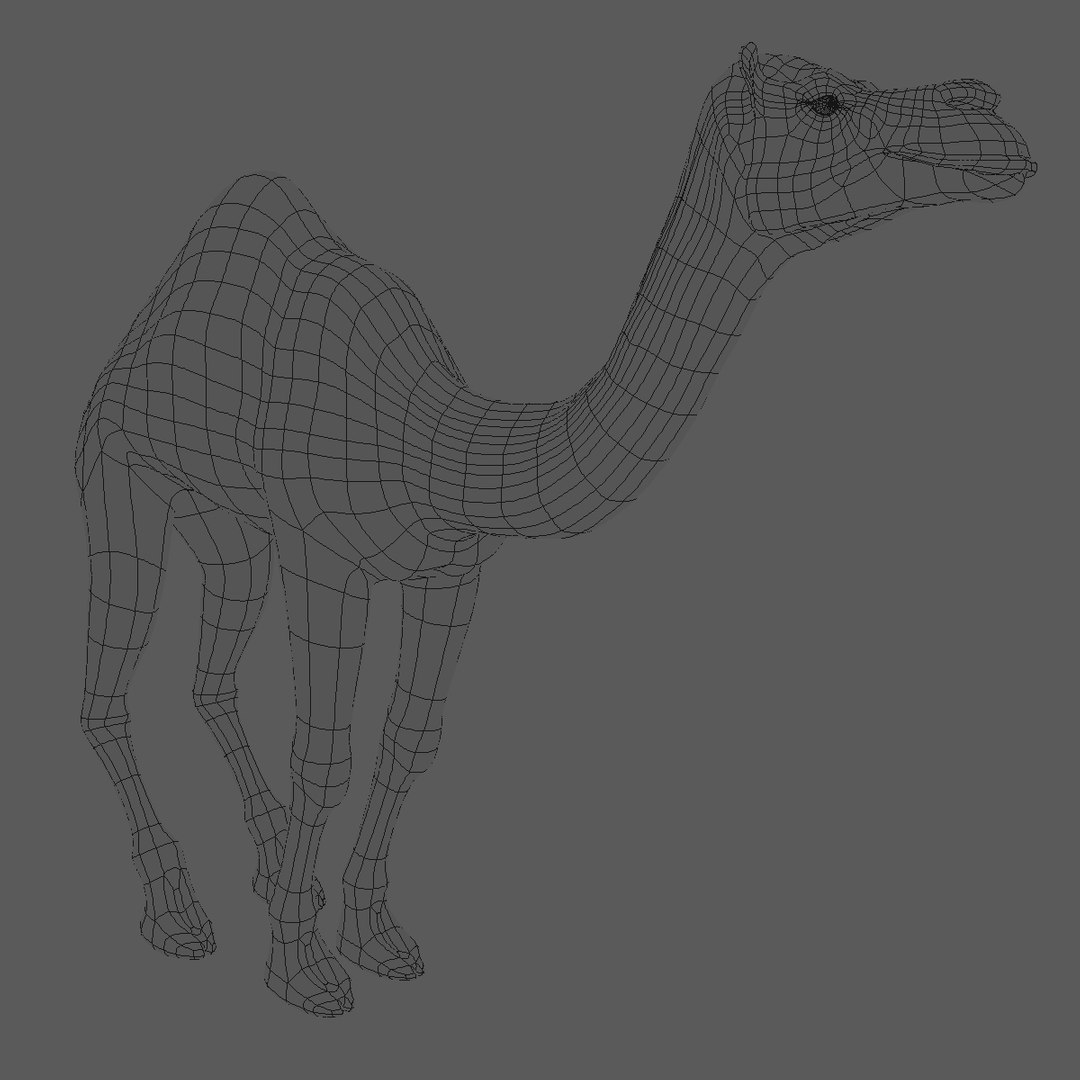 animating camel 3D model https://p.turbosquid.com/ts-thumb/Sg/y7KpxL/AAKDUveH/poly/jpg/1521306958/1920x1080/fit_q87/7fce6c64475f560555329e72831eadcc02deeb3d/poly.jpg