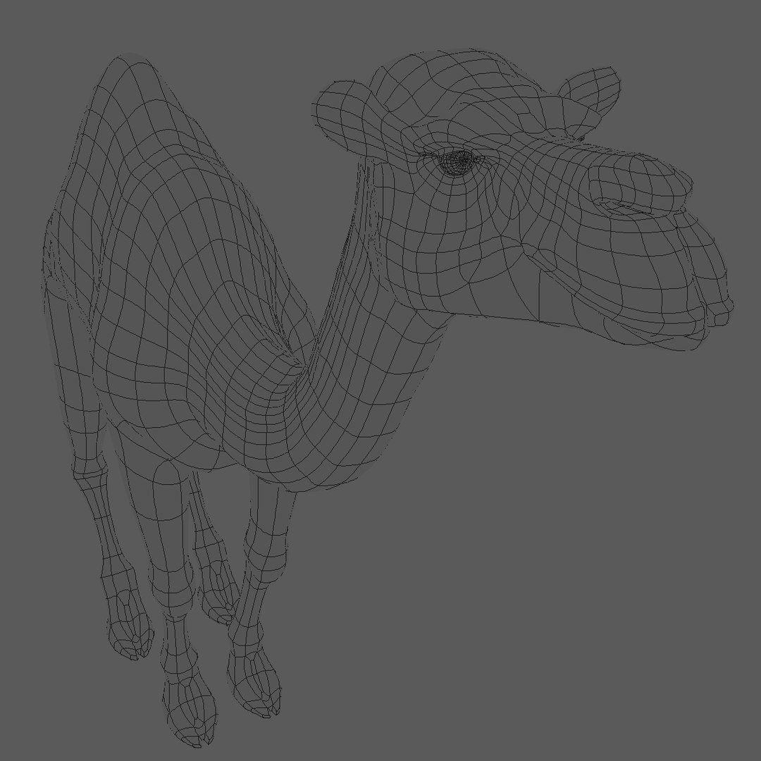 animating camel 3D model https://p.turbosquid.com/ts-thumb/Sg/y7KpxL/O8dlFuZ8/poly0001/jpg/1521306995/1920x1080/fit_q87/2416f7e1e57ff285f3118394168bacd61cd4456c/poly0001.jpg