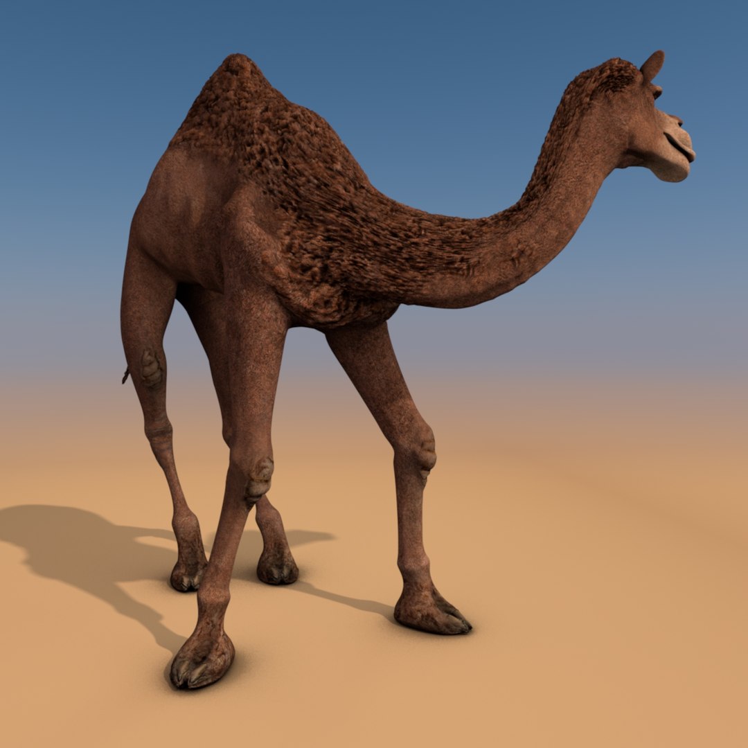 animating camel 3D model https://p.turbosquid.com/ts-thumb/Sg/y7KpxL/PCWq0yj5/camel0625/jpg/1520813100/1920x1080/fit_q87/e12a8c94c6f33dc3f5d99f5823afe32522f17fb9/camel0625.jpg