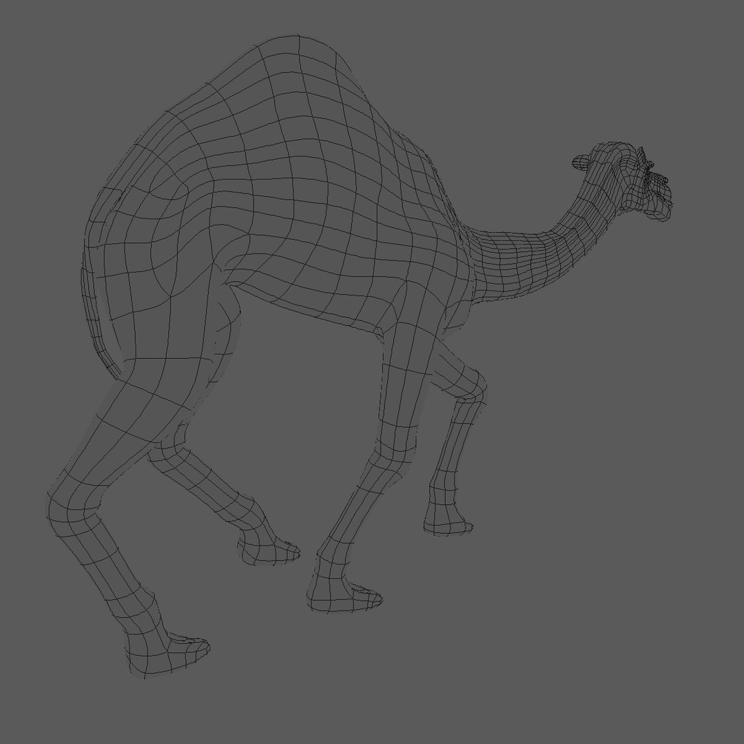 animating camel 3D model https://p.turbosquid.com/ts-thumb/Sg/y7KpxL/aYOfXhIq/poly0026/jpg/1521307018/1920x1080/fit_q87/71218446a0fa022e30be252859fe380ffdf67657/poly0026.jpg