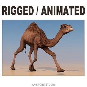Camel Dromedary