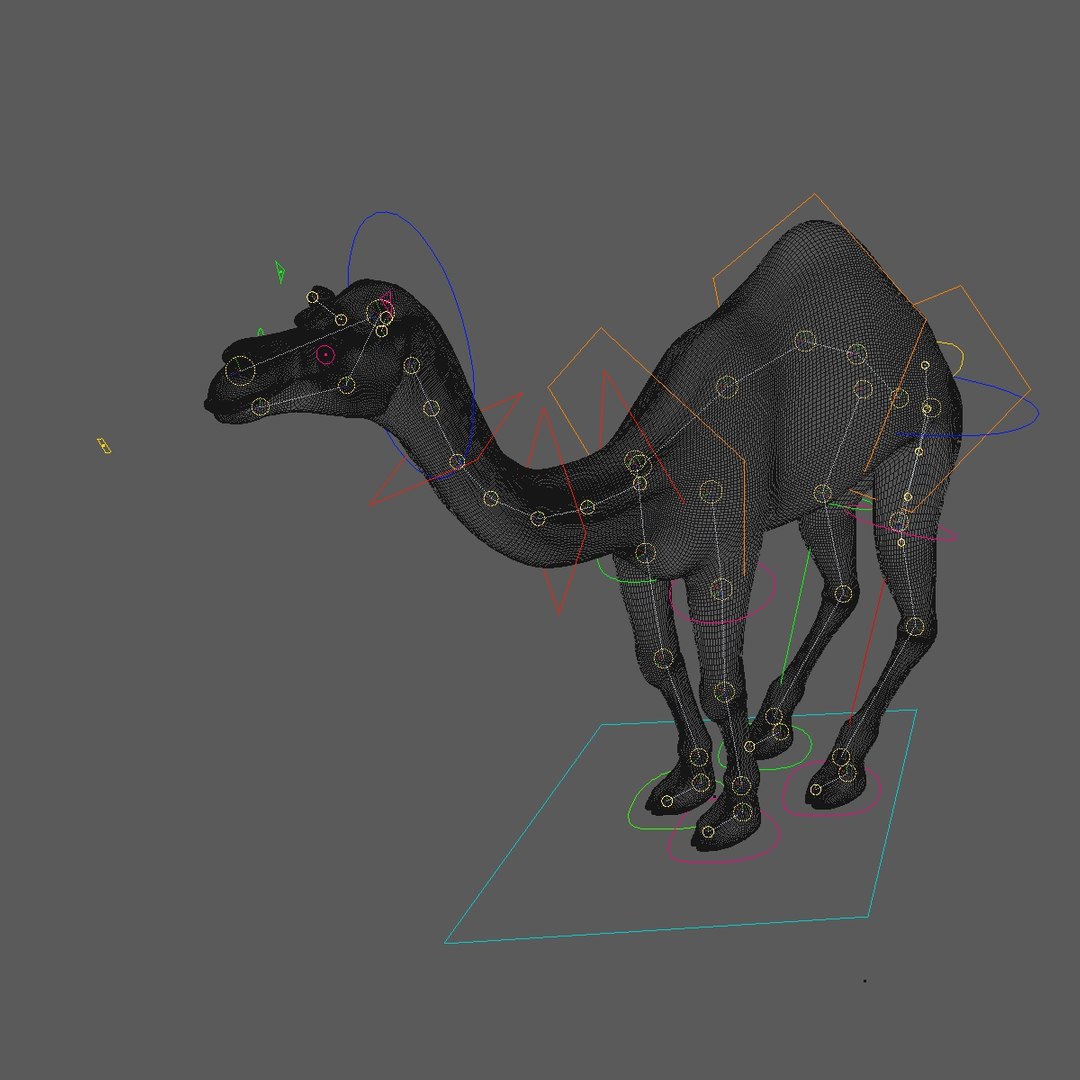 animating camel 3D model https://p.turbosquid.com/ts-thumb/Sg/y7KpxL/rRmdX98j/rig0001/jpg/1521336129/1920x1080/fit_q87/435acaad8b86760d975c3347347ff685050f8d58/rig0001.jpg