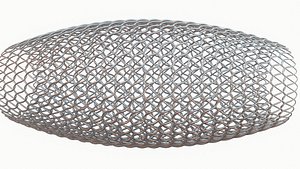 Medical Stent(2)