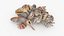 Seashell Pile v1 Collection model