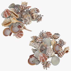 Seashell Pile v1 Collection model