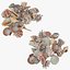 Seashell Pile v1 Collection model